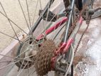 Junior Mountain Bike