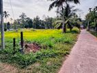 Just 750m to kandy road Valuable land in kalagedihena
