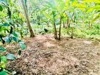 (K137) 17 Perch Bare Land for Sale in Near Gampaha