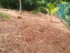 (k168) 15 Perch Bare Land for Sale in Gampaha