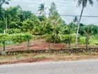 (k198) 160 Perch Bare Land for Sale in Minuwangoda