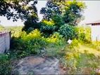 (K237) 12.5 Perch Bare Land for Sale in Horana