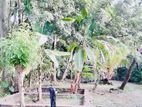 (K293) 60 Perch Land For Sale in Negombo