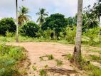 (K371) 6 Acre Land For Sale in Eppawala