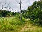 (K371) 6 Acre Land For Sale in Eppawala