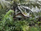 (K373) 15Acer land for sale in puttalam