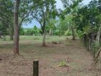 (K664) 20 Perch Land For Sale in Anuradhapura