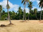 කාක්කපල්ලිය අවටින් සින්නක්කර බිම් කොටස්
