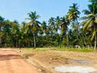 කාක්කපල්ලිය සින්නක්කර ඉඩමක්
