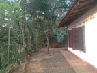 House for Sale in Palawatta