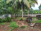 Land for Sale in Vavuniya