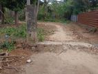 காணி சங்கானை விற்பனை