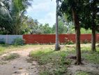 காணி விற்பனை சங்கானை