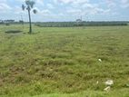 காணி விற்பனை - Jaffna