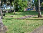 காணி விற்பனை Jaffna