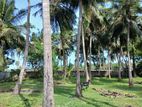 காணி விற்பனை Jaffna