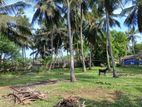 காணி விற்பனை Jaffna
