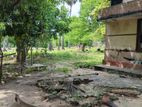 காணி விற்பனை Jaffna