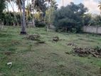 Land for sale - Nallur