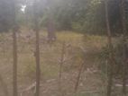 Land For Sale - Chavakachcheri