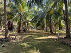 காணி விற்பனைக்கு சாவகச்சேரி