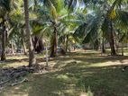 காணி விற்பனைக்கு Chavakachcheri