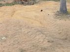 காணி விற்பனைக்கு கொடிகாமம்