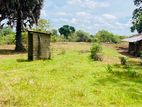 Land For Sale Vavuniya