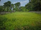 காணி விற்பனைக்கு / Land for Sale Thanangavil Pillaiyar Koviladiyil