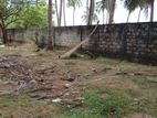 காணி விற்பனைக்கு உடுவில்