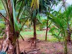 කාපට් පාරට මායිම් පර්චස් 50ක සුපිරි මුහුදුබඩ ආයෝජන ඉඩමක් /UP 15725