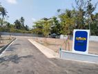 කාටුනයක අගනා බිම් කොටස් විකිණීමට