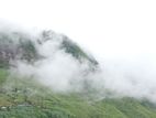 Kabana dream your land for sale Nuwara Eliya Road