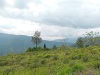 Kabana dream your land for sale Nuwara Eliya Road
