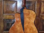 Acoustic Guitar