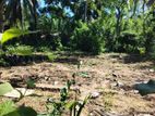 Land for Sale in Monaragala