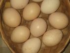 Kolli Eggs