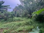 Kadawatha 10 Perch Land for Sale