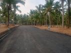 Kadawatha Best Land For Sale