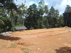 Kadawatha Best land sale near Ganemulla Rode
