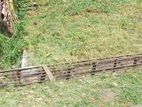 Kadawatha City Limit Land for Sale