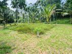 kadawatha Delgoda quality land for sale
