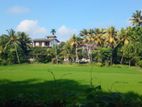 kadawatha - delgoda town paddy field facing land for sale