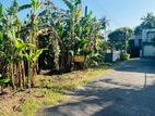 Kadawatha Ganemulla Road Best Land for Sale