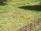 Kadawatha High Value Land in A Fast Growing Area