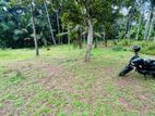 Kadawatha Indigahamulla Best Land for Sale