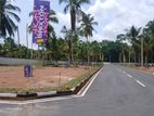 Kadawatha, kirillawala Best location, opportunity, land for sale
