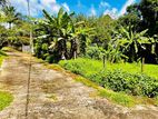 Kadawatha Kirillawala Land for Sale