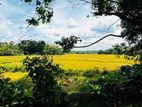Kadawatha Kirillawala Land for Sale