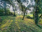Kadawatha Land for Sale